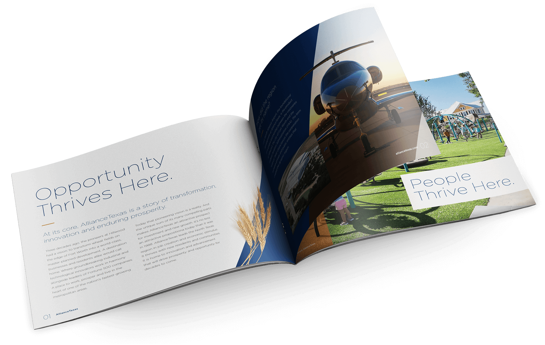 alliance-corp-brochure3